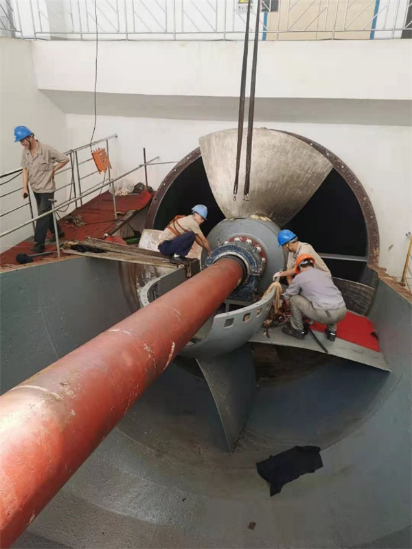 上海太浦河泵站，4100ZXB50-1